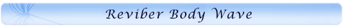 Reviber Body Wave